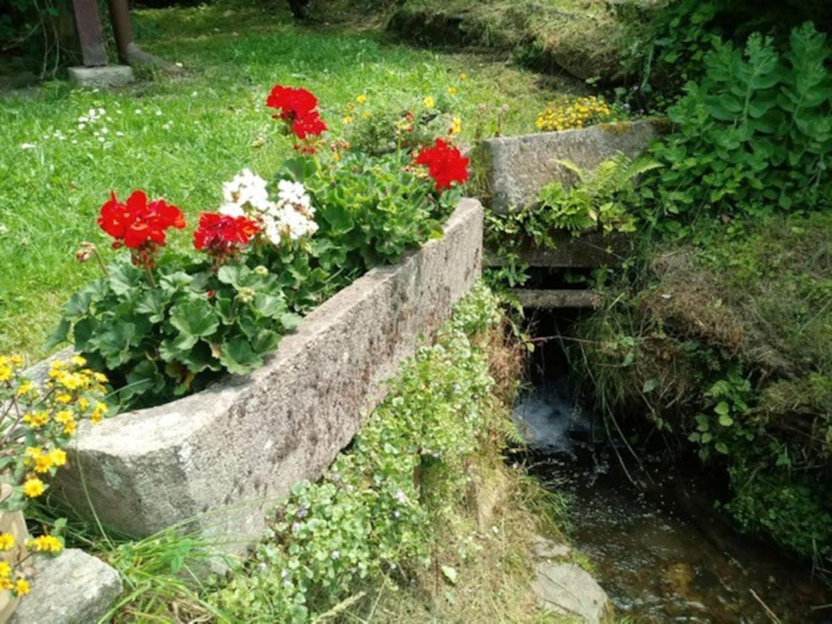 Chaloupka Na Konci Sveta Villa Raskov Exterior photo